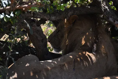 DSC_3550 (Large).JPG